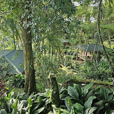 Rimba Eco Resort Tomohon Eksteriør bilde