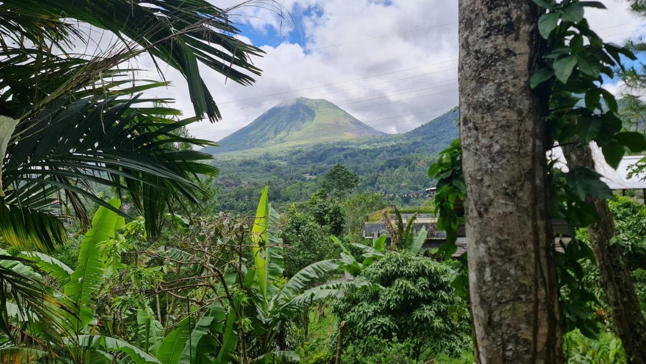 Rimba Eco Resort Tomohon Eksteriør bilde