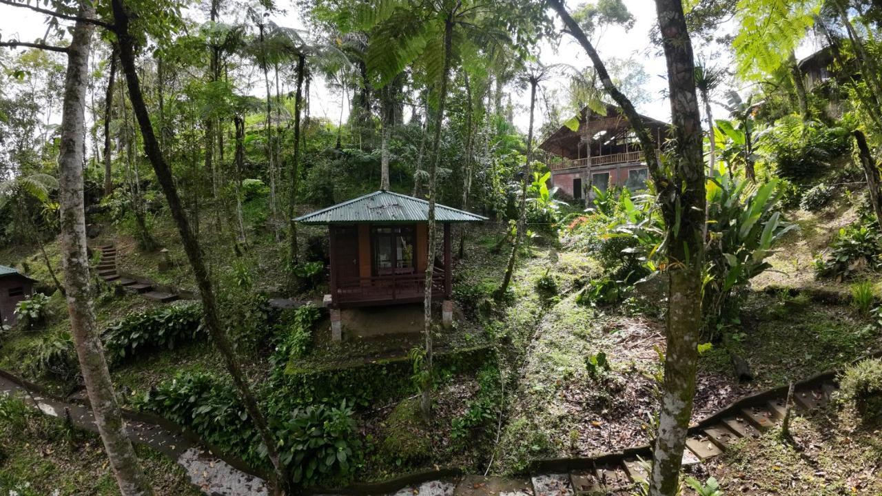 Rimba Eco Resort Tomohon Eksteriør bilde