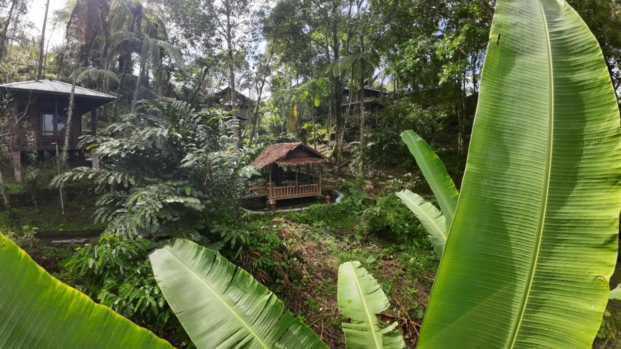Rimba Eco Resort Tomohon Eksteriør bilde