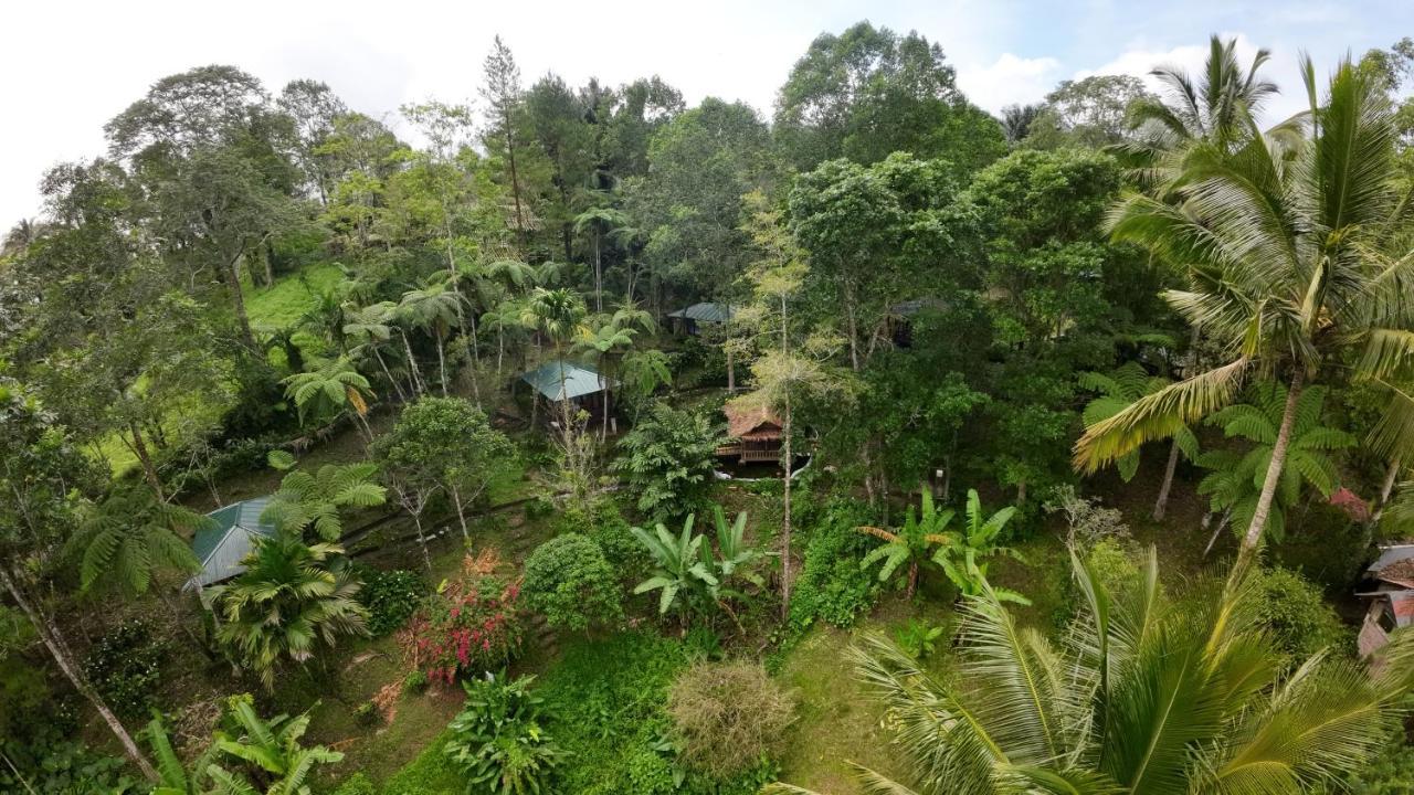 Rimba Eco Resort Tomohon Eksteriør bilde