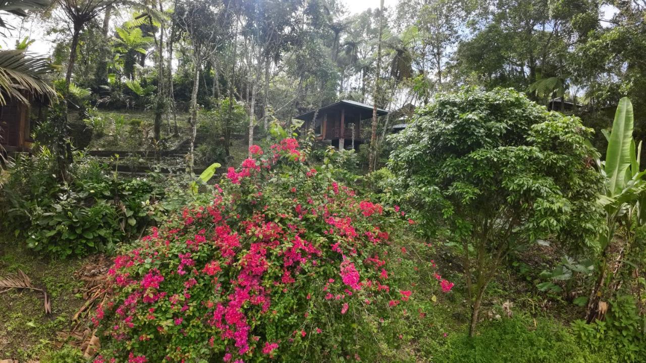 Rimba Eco Resort Tomohon Eksteriør bilde