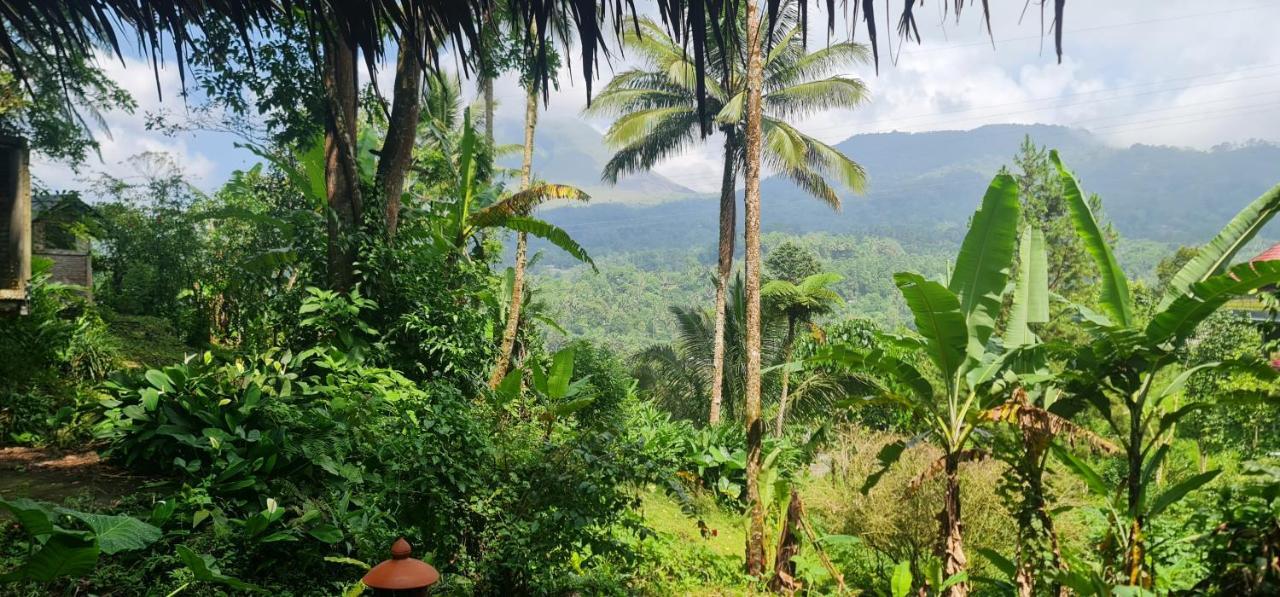 Rimba Eco Resort Tomohon Eksteriør bilde