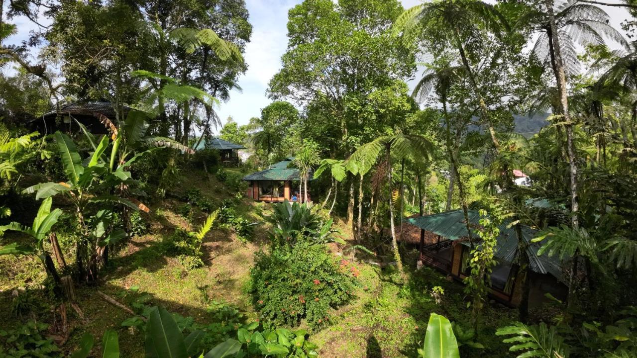 Rimba Eco Resort Tomohon Eksteriør bilde