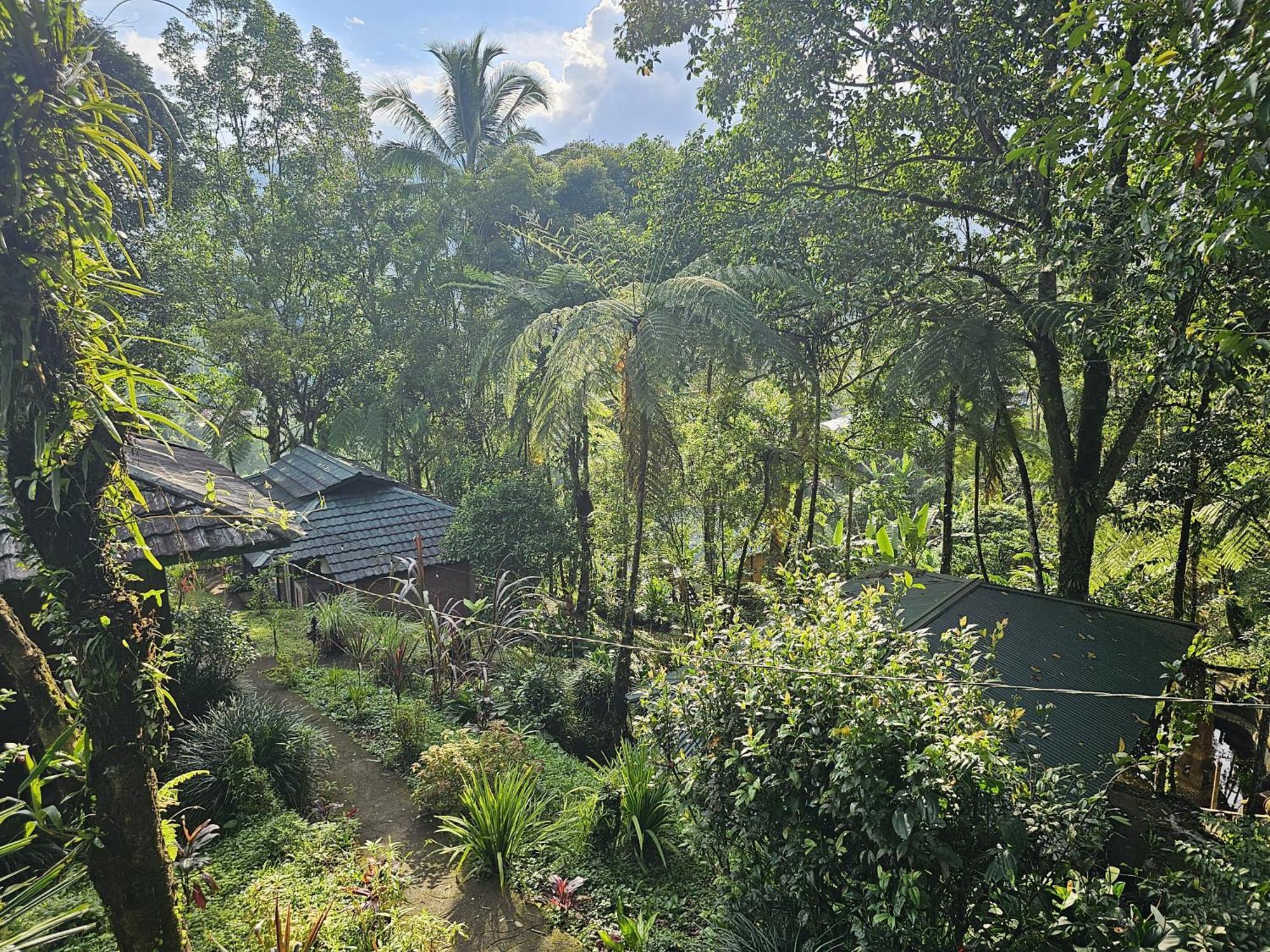 Rimba Eco Resort Tomohon Eksteriør bilde
